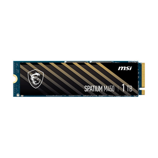 إم إس آي سباتيوم M450 PCIe 4.0 1 تيرابايت NVMe M.2 SSD 